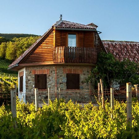 Robinson Vila Kitokret Kutjevo Bagian luar foto