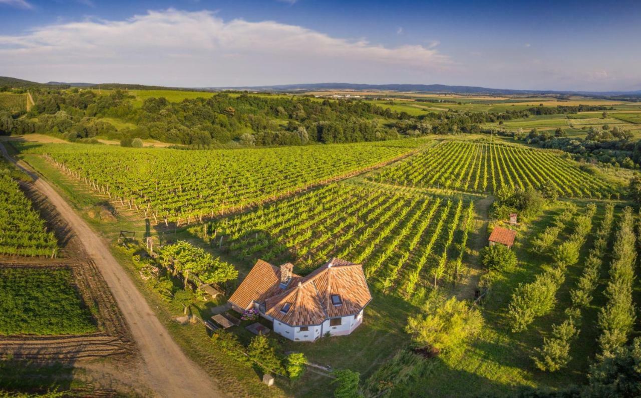 Robinson Vila Kitokret Kutjevo Bagian luar foto