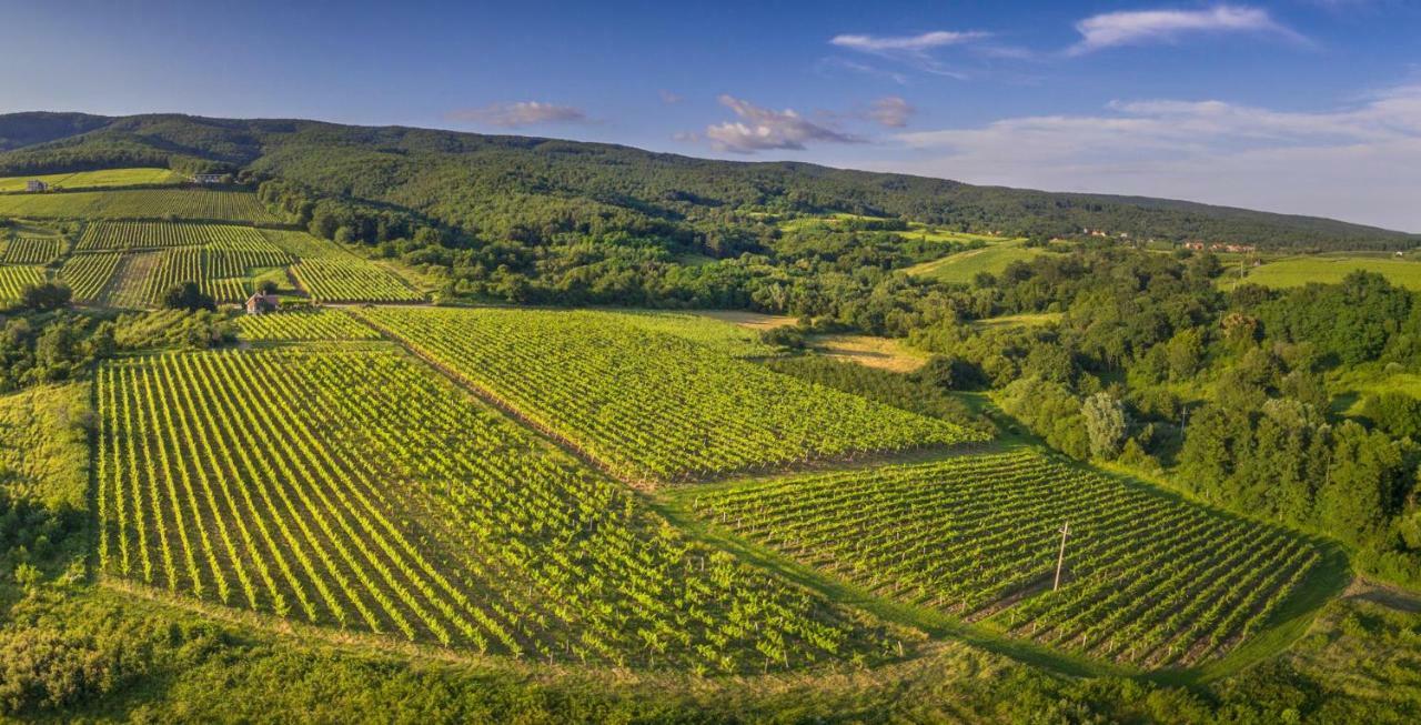 Robinson Vila Kitokret Kutjevo Bagian luar foto