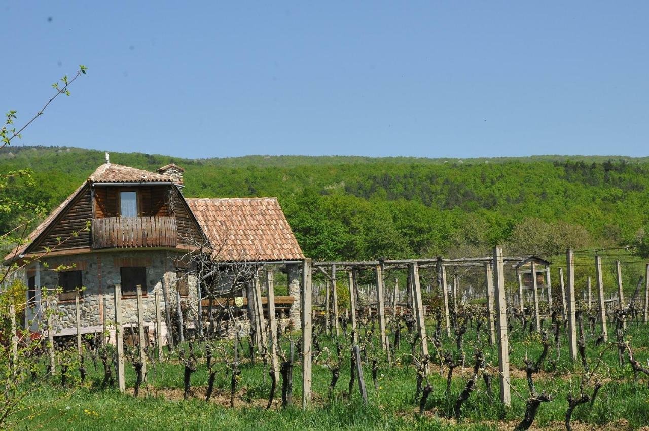 Robinson Vila Kitokret Kutjevo Bagian luar foto