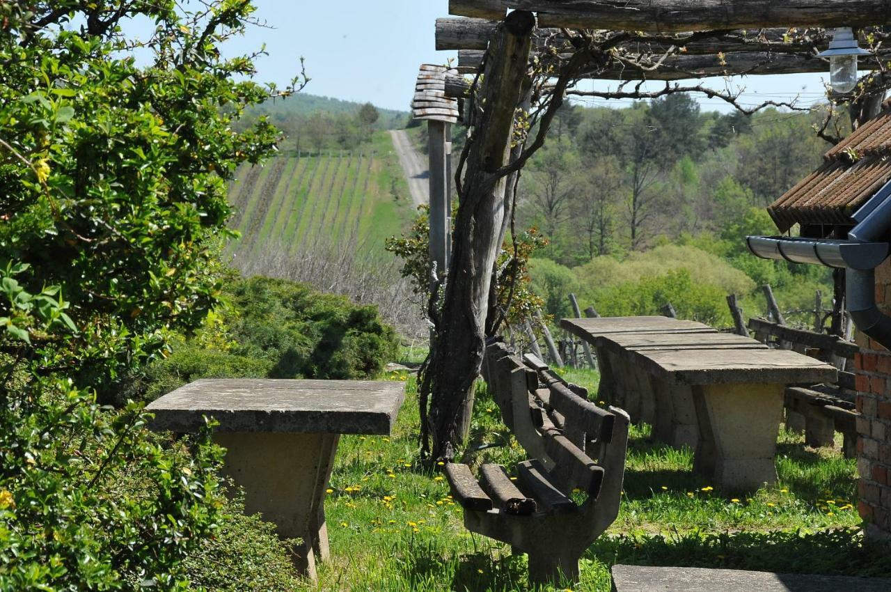 Robinson Vila Kitokret Kutjevo Bagian luar foto