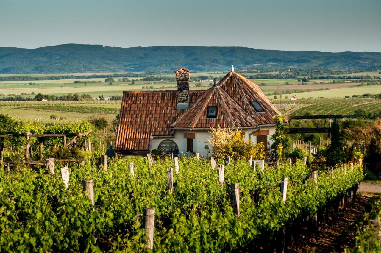 Robinson Vila Kitokret Kutjevo Bagian luar foto